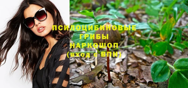 Альфа ПВП Алзамай