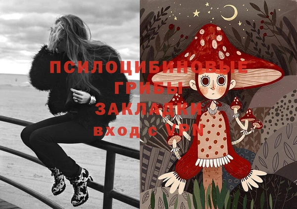 Альфа ПВП Алзамай