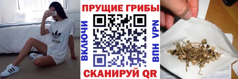 Псилоцибиновые грибы прущие грибы Княгинино