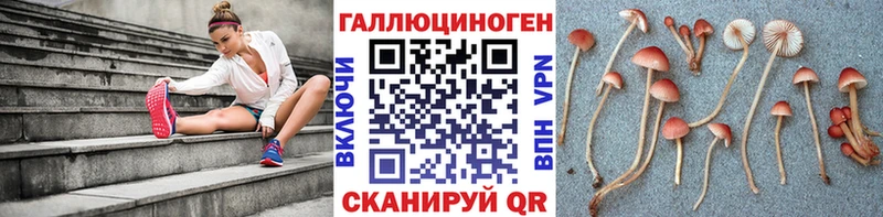 наркотики Княгинино Галлюциногенные грибы GOLDEN TEACHER